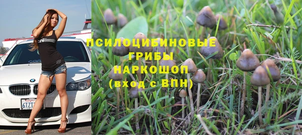 apvp Бугульма