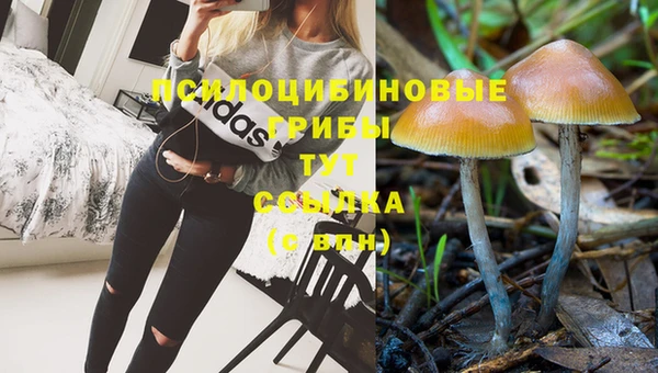 меф Горно-Алтайск
