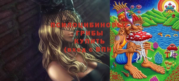 apvp Бугульма